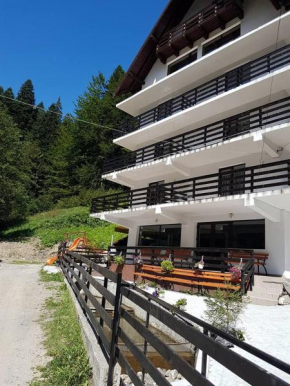 Hotels in Predeal
